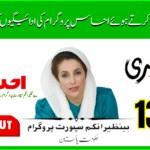 Check Ehsaas Program Payments Using 8171 in August 2025 – BISP 13500 Update