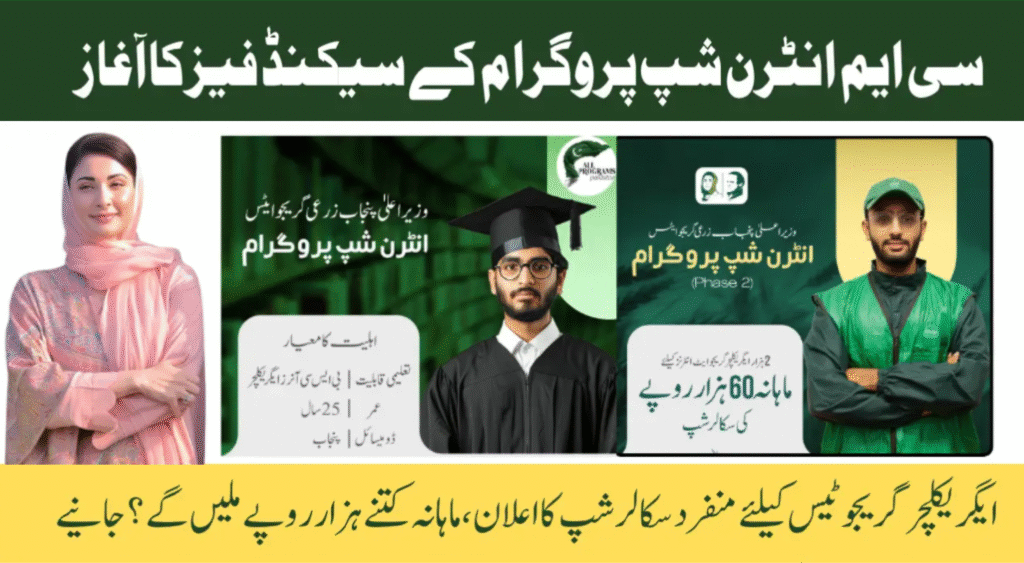 Punjab Internship Program Phase 2 Earn Rs. 60,000 monthly. Apply online now for 2,000 graduate seats. Don’t miss this career opportunity