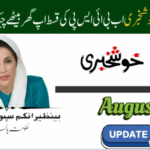 8171 CNIC Check August 2025 Payment Status Guide: Easily check your BISP payment status, eligibility, and registration updates online through the 8171 portal.