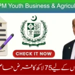 apply for the PM Youth Loan Scheme 2025. Step-by-step guide on eligibility, required documents, online registration.