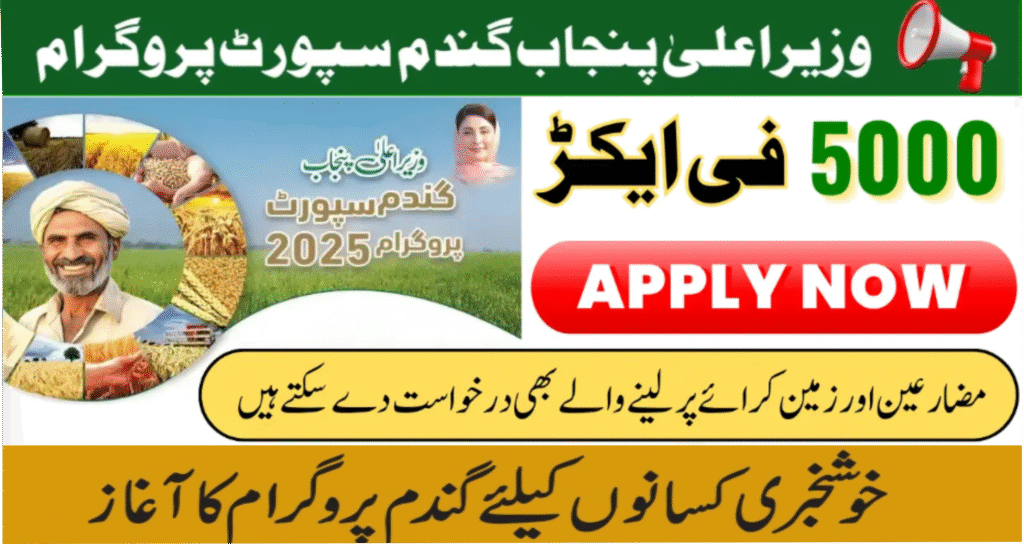 CM Punjab Wheat Support Program 2025