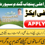CM Punjab Wheat Support Program 2025