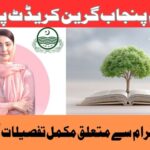 CM Punjab Green Credit Program 2025 Apply Now and Win 1 Lakh
