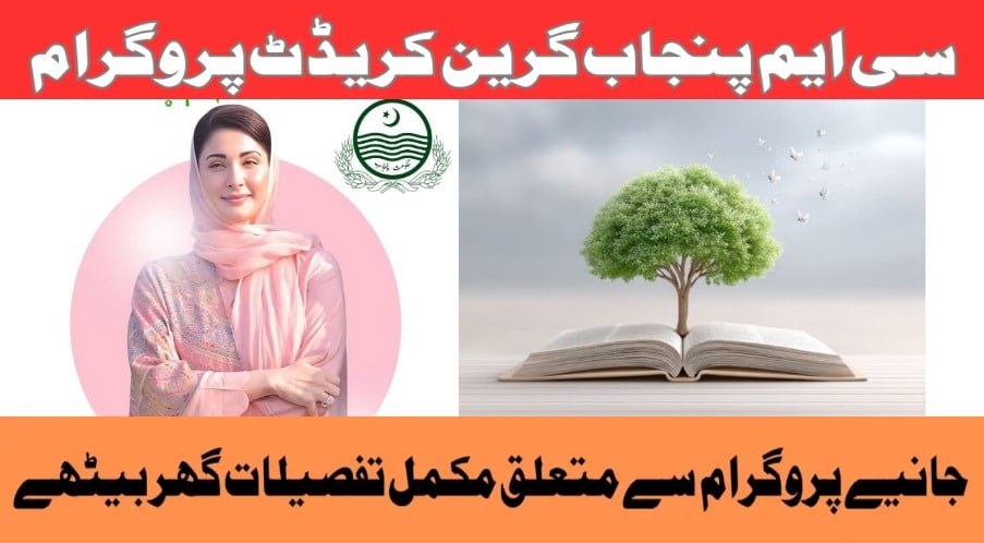 CM Punjab Green Credit Program 2025 Apply Now and Win 1 Lakh