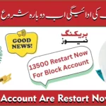 BISP Punjab July 2025 Payment Reactivate – Full Guide