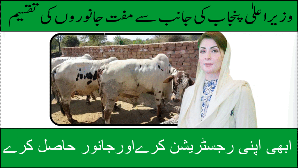 CM Livestock Card 2025