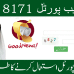 "8171 Web Portal for eligibility check and payment tracking."