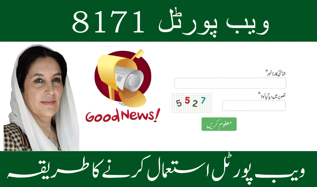 "8171 Web Portal for eligibility check and payment tracking."