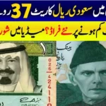 Saudi Riyal to Pakistani Rupee exchange rate update for 24 July 2025."