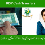 BISP cash transfers 2025 reducing IPV and supporting women’s empowerment in Pakistan