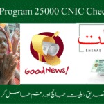 Ehsaas Program 25000 CNIC Check 2025 online eligibility and payment verification"