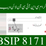 8171 Ehsaas Program CNIC Online Check Portal