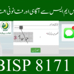 Fraudulent SMS Awareness and Legal Countermeasures to protect users from scams."