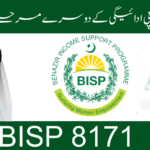 BISP 8171 Apply Online 2025 registration and CNIC check for Rs 13,500 payment update.