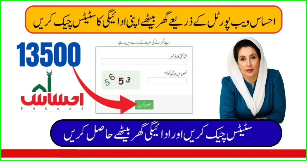 Ehsaas Web Portal 2025 online registration and eligibility check in Pakistan