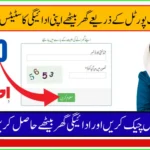 Ehsaas Web Portal 2025 online registration and eligibility check in Pakistan