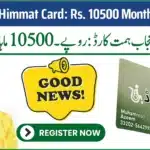 CM Punjab Himmat Card 2025 monthly stipend for disabled persons