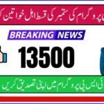BISP 8171 Verification September 2025 CNIC Check Online