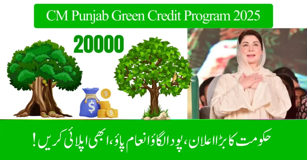 The program has multiple goals, all aligned with Punjab’s vision for sustainable development:

Environmental Protection: Reduce air pollution, conserve natural resources, and promote renewable energy.

Citizen Participation: Encourage public involvement in climate action by linking personal benefits to eco-friendly behavior.

Economic Growth: Support a green economy by incentivizing sustainable industries.

Long-Term Sustainability: Establish Punjab as a regional leader in green innovation and climate resilience.
