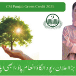 The Punjab Government Green Credit Program 2025 has introduced a major financial incentive of Rs. 100,000 for citizens who purchase and use electric bikes. The initiative is part of Punjab’s broader climate action policy to reduce smog, cut carbon emissions, and promote clean transport. By encouraging residents to shift from petrol to electric vehicles, the program combines environmental protection with direct financial benefits for the public.