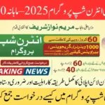 Punjab Veterinary Internship Program 2025 – Monthly stipend of Rs. 60,000 announced by CM Punjab Maryam Nawaz Sharif.