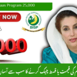 Although the Rs. 25,000 relief has ended, eligibility parameters used historically still inform current welfare programs like Kafalat: Extremely low-income households Households affected by disasters or crises Widows, divorced women, elderly, disabled in financial need Not employed in federal or provincial government roles Registered in the National Socio-Economic Registry (NSER)