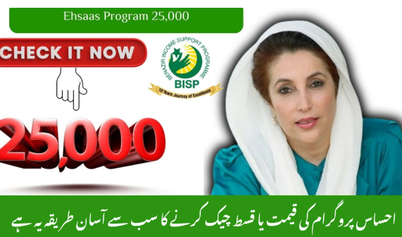 Although the Rs. 25,000 relief has ended, eligibility parameters used historically still inform current welfare programs like Kafalat: Extremely low-income households Households affected by disasters or crises Widows, divorced women, elderly, disabled in financial need Not employed in federal or provincial government roles Registered in the National Socio-Economic Registry (NSER)