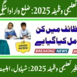 Benazir Taleemi Wazaif July 2025 online registration through 8171 portal, CNIC check, stipend details for primary, secondary, and higher secondary students in Pakistan.