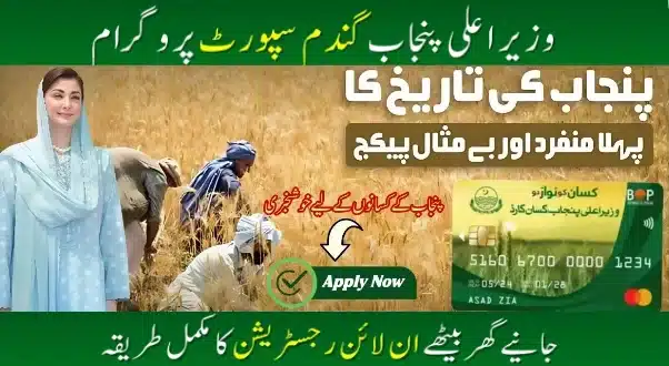 “Farmers in Punjab checking application status of Wheat Support Program 2025 through CNIC on official website wsp2025.punjab.gov.pk for subsidy updates.”