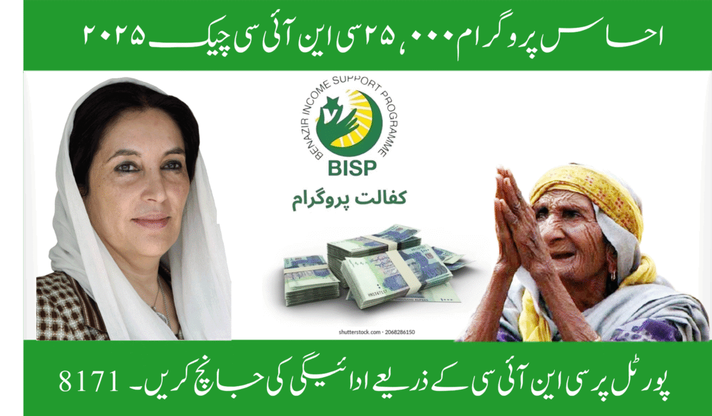 Ehsaas Program 25,000 CNIC Check Online 2025