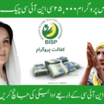 Ehsaas Program 25,000 CNIC Check Online 2025