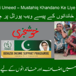 BISP 8171 new payment increased to Rs. 27,000.