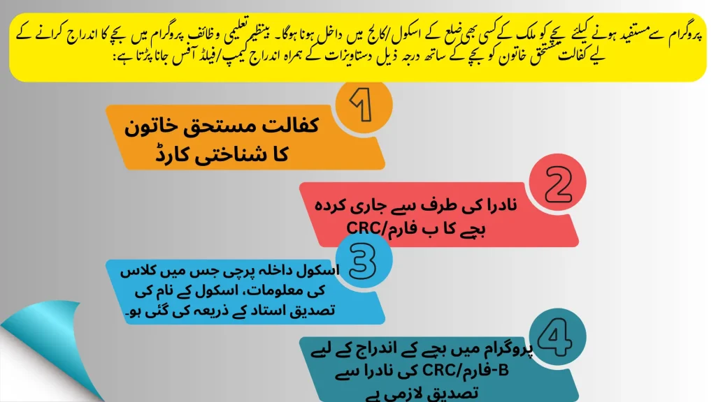 Benazir Taleemi Wazaif July 2025 online registration through 8171 portal, CNIC check, stipend details for primary, secondary, and higher secondary students in Pakistan