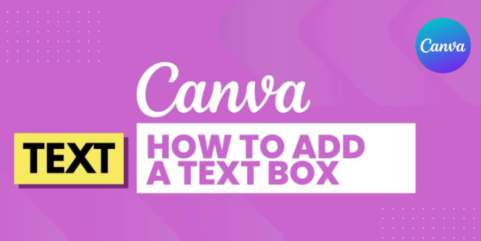How to add a text box in Canva with step-by-step instructions for beginners.